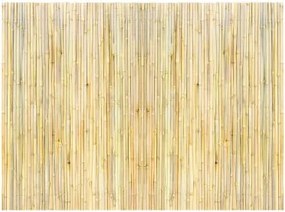 VEVOR Natural Rolled Bamboo Fence Bamboo Panel 4 ft H x 6 ft L x 0.75 in D.
