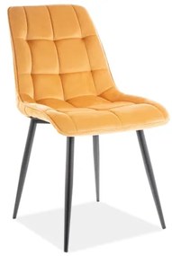 80-1704 Επενδυμένη καρέκλα Chic 50x43x88 μαύρο/καρί βελούδο DIOMMI CHICVCCU, 1 Τεμάχιο