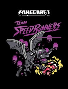 Κορνιζαρισμένη αφίσα Minecraft - Team Speedrunners