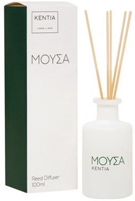 Αρωματικό Χώρου Με Sticks Mood 25 Μούσα 100ml Secret Wood Kentia Γυαλί