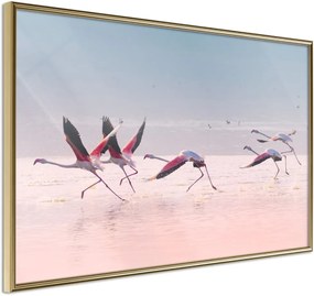 Αφίσα - Flamingos Breaking into a Flight - 45x30 - Χρυσό - Χωρίς πασπαρτού