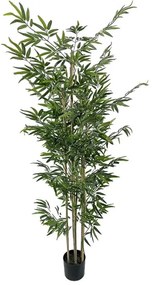 Διακοσμητικό φυτό Bamboo σε γλάστρα Inart πράσινο pp Υ190εκ