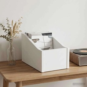 vidaXL Κουτί LP Λευκό 18 x 32 x 18 εκ. Επεξεργασμένο Ξύλο