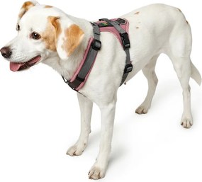 Λουρί Σκύλου Hunter Ροζ 31-49 cm