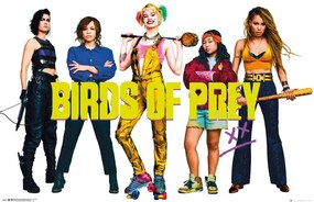 Αφίσα Birds Of Prey - Group, (91.5 x 61 cm)