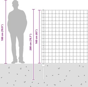 vidaXL Περίφραξη Euro με Στήλη 10 x 1,6 m Γαλβανισμένος Χάλυβας Ασημί