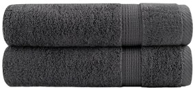 vidaXL Πετσέτες Μπάνιου Premium SOLUND 2 Τεμ Ανθρακί 100x150εκ 600gsm
