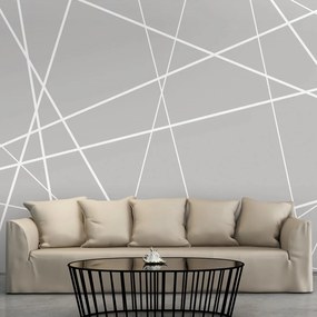 Φωτοταπετσαρία - Modern Cobweb 300x210