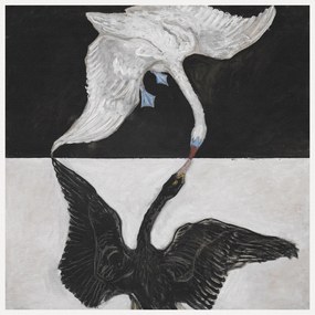 Αναπαραγωγή The Swan No.1 (Black & White) - Hilma af Klint, (40 x 40 cm)
