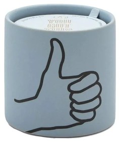 Κερί Σόγιας Αρωματικό Impressions You Got This Mint Leaf And Cardamom 163gr Paddywax Soy Wax