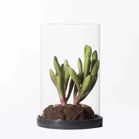 Τεχνητό Φυτό Κρασούλα Skinny Fingers 2260-6 15,5cm Green Supergreens Polyethylene