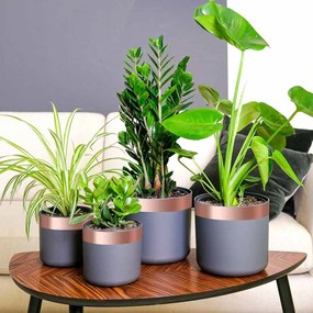 vidaXL Χαλκοταινία Χάλκινο 2000 x 5 εκ Χάλκινο