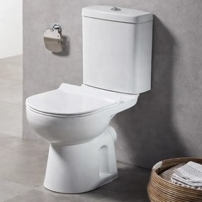 Tema Point 3100 White - Λεκάνη με Καζανάκι 66cm