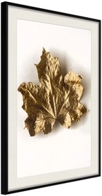 Αφίσα - Dried Maple Leaf - 30x45 - Μαύρο - Με πασπαρτού