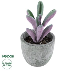 GloboStar® Artificial Garden SUCCULENT CRASULLA 21031 Διακοσμητικό Φυτό Παχύφυτο Κράσουλα Υ11cm