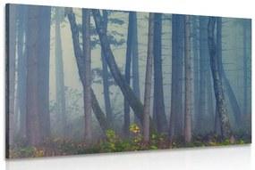 Εικόνα μυστηριώδες δάσος - 90x60
