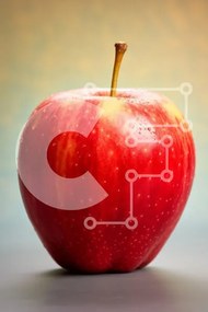 Σετ των 2 Intra Συλλεκτικό Ξύλινο Παζλ Plywood 4mm - Φρέσκο κόκκινο μήλο με σταγονίδια νερού Σε Ξύλινο Κουτί - Διαστάσεις: 10x10 cm – 25 κομμάτια