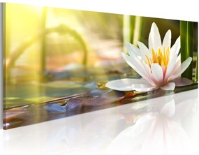 Πίνακας - Lotus' Glow 150x50