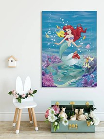 Παιδικός πίνακας σε καμβά Ariel KNV0576 30cm x 40cm