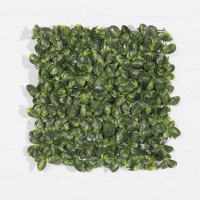 Supergreens Τεχνητή Φυλλωσιά Τριφύλλι 50x50 εκ