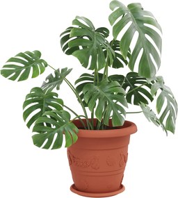 vidaXL Γλάστρες φυτών 6 pcs Κεραμιδί Ø 39 x 32 εκ Πλαστικό