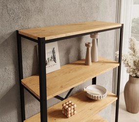 Βιβλιοθήκη Renev-Drus