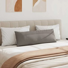 vidaXL Μαξιλάρι Καναπέ 2 pcs Taupe 120 x 40 cm ύφασμα