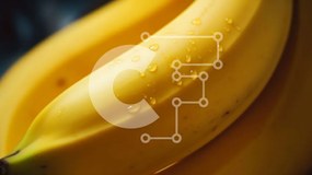 Σετ των 2 Intra Συλλεκτικό Ξύλινο Παζλ Plywood 4mm - Ώριμη μπανανόφλουδα με σταγονίδια νερού Σε Ξύλινο Κουτί - Διαστάσεις: 10x10 cm – 25 κομμάτια