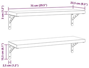 Ράφια Τοίχου 2Τεμ. Ασημί 75x23,5 εκ. Ανοξείδωτο Ατσάλι - Ασήμι