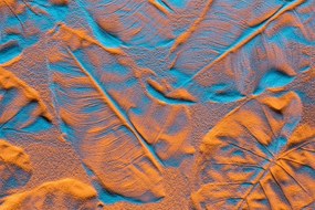 Εικόνα υφή των φύλλων σε μια αμμώδη παραλία - 90x60