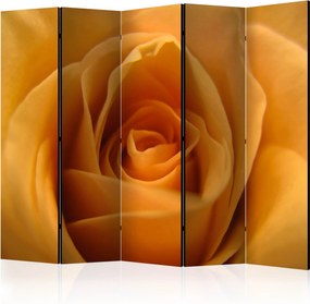 Διαχωριστικό με 5 τμήματα - Yellow rose – a symbol of friendship II [Room Dividers]