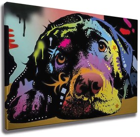 Πίνακας Καμβάς 227WRZ1103 70x50cm Multi Wallity Οριζόντιοι Wood, Canvas