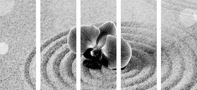 Εικόνα 5 μερών παρειακός κήπος Ζεν με ορχιδέα σε ασπρόμαυρο - 200x100