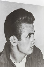 Πίνακας James Dean Γκρι 43x3,2x53 εκ.