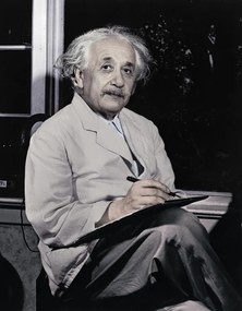 Φωτογραφία Physicist Albert Einstein, Bettmann