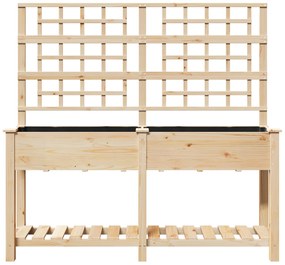 vidaXL Κήπος Γλάστρα με Πλέγμα & Ράφι 161x43x152 εκ. Μασίφ ξύλο πεύκου