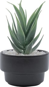 Τεχνητό Φυτό σε Μοντέρνο Μαύρο Κεραμικό Γλαστράκι 8x14cm