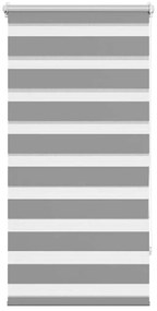 vidaXL Ρόλερ Zebra Γκρι 60 x 120cm