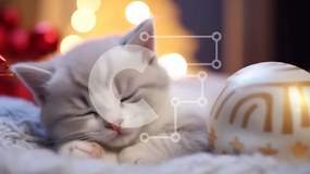 Σετ των 2 Intra Συλλεκτικό Ξύλινο Παζλ Plywood 4mm - Γατάκι ύπνου στη διακοσμημένη μπάλα Σε Ξύλινο Κουτί - Διαστάσεις: 10x10 cm – 25 κομμάτια