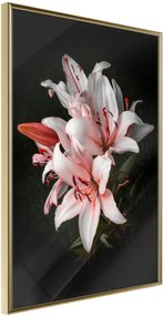 Αφίσα - Pale Pink Lilies - 30x45 - Χρυσό - Χωρίς πασπαρτού