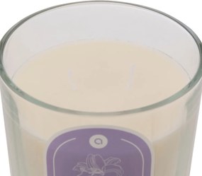 Κερί Αρωματικό 350gr (Φ10x10) A-S Floa Orchid 207011B