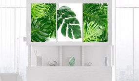 Πίνακας - Palm Leaves (3 Parts) 120x60