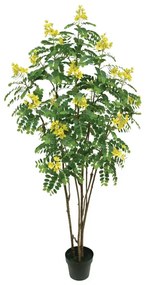 MarHome ΔΕΝΤΡΟ ΚΑΣΣΙΑ ΚΙΤΡΙΝΟ REAL TOUCH ΣΕ ΚΑΣΠΩ - Υ180cm 1/2ΚΙΒ  04-24169