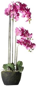 Supergreens Τεχνητό Φυτό Ορχιδέα Phalaenopsis Real Touch Φούξια με Βάση Moss 110 εκ