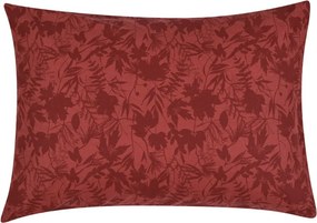 Ζεύγος Μαξιλαροθήκες (50x70) Kentia Sparrow