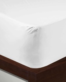 Σεντόνι με λάστιχο Denise Μονή (100x200 35cm) Άσπρο