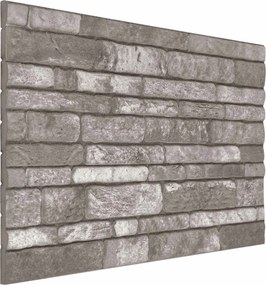 vidaXL Πάνελ τοίχου 10 pcs Σκούρο Γκρι 100 x 50 cm Αφρός EPS