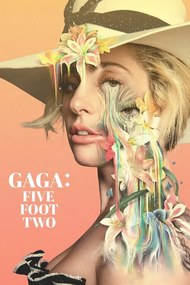 Εικονογράφηση Gaga Five Foot Two (2017)