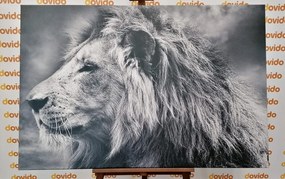 Εικόνα αφρικανικού λιονταριού σε ασπρόμαυρο - 90x60