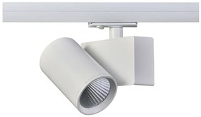 Σποτ Φωτιστικό Ράγας LED 20W Μονοφασικό IP20 4000K Lisor LISOR2040W2 ACA-LISOR2040W2-Λευκό LISOR2040W2